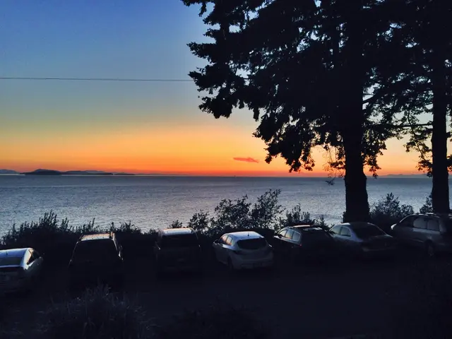 Relationships between asset owners and managers are being reevaluated following the exit of NZAM