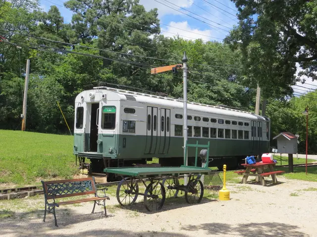 Daily passenger traffic of 12,300 individuals