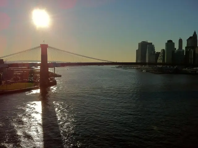 The individual behind the Moon Lake sale has begun speaking.