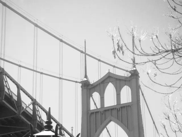 Toyota Highlander Experiences Sagging Rear Suspension After Bike Carrier Installation, Causing it...