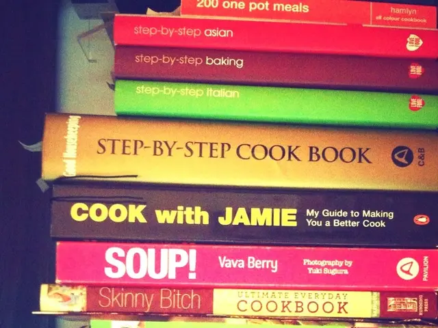 AI and Book Piracy Unite in a Novel Age of Infringement