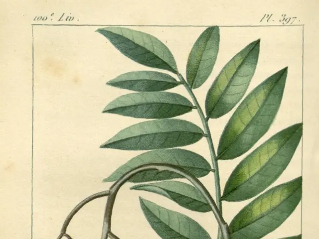 Pectin Market Forecast to Top USD 1.9 Billion by 2034, Growing at a 5.6% Annual Rate