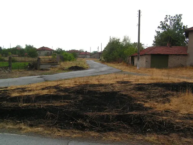 Preserving the woods through electrical means