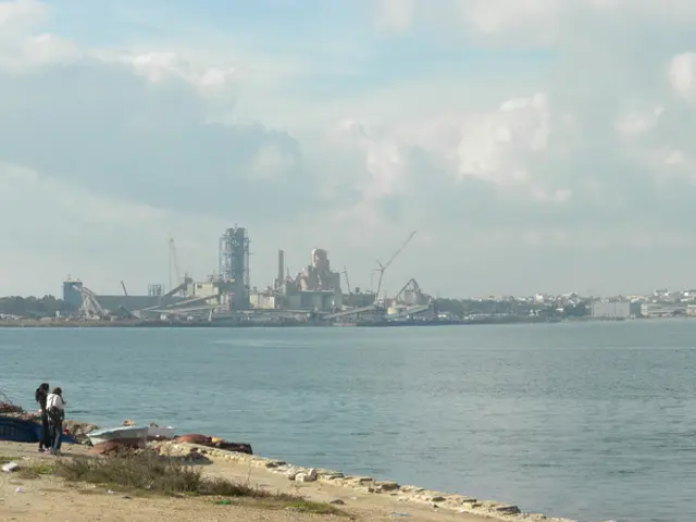 Request for Self-Initiated Action