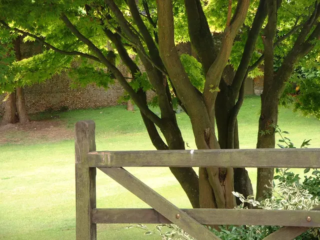 Some green bonds may not meet their environmental claims.