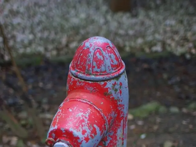 State authorities urged to provide financial aid for water companies' renovation