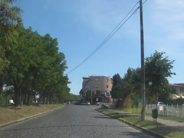 Toyota Displays Adventure Vehicle Lineup at SEMA024, Ideal for Surfing, Cruising, Off-roading,...