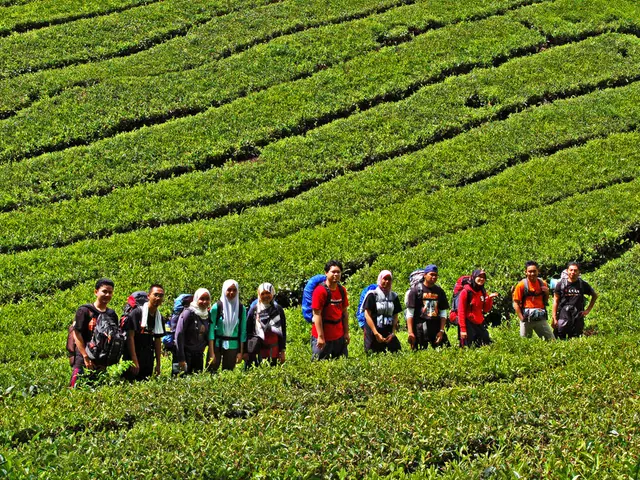 Enhancing the Legal Ownership of Farms for Smaller Farmers