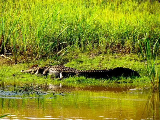 Proposal made for harmonizing food labeling laws across Member States