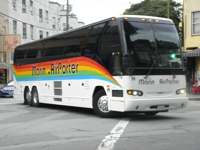 17buses now roam Vitebsk city streets