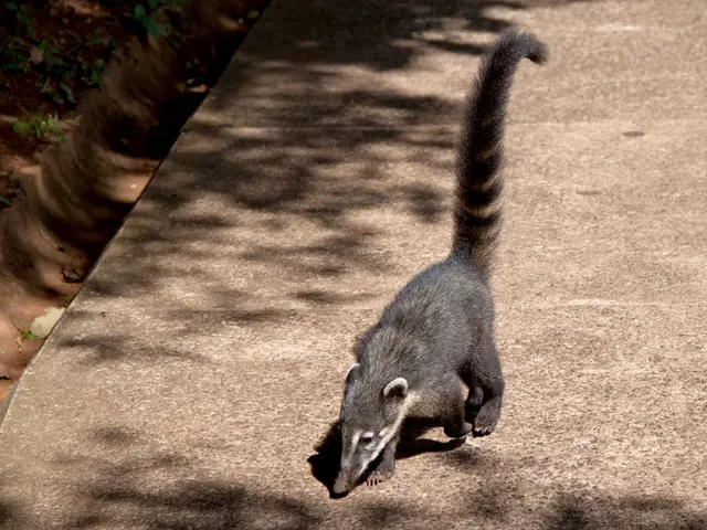 Investigation reveals the reason behind the fire and blast at BASF that occurred in July 2024