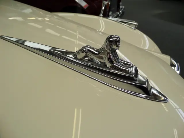 VinFast CEO Remains Dedicated to the Auto Industry Until His Financial Resources Exhaust