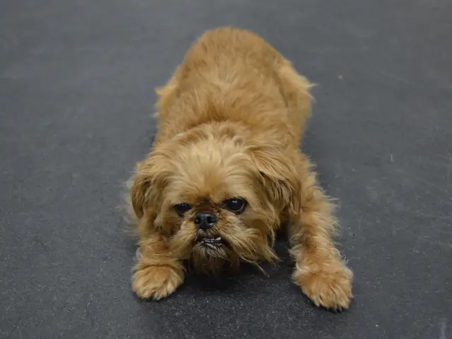 Construction of the road linking Ludweiler and Werbeln: full shutdown starting July 30, 2025.