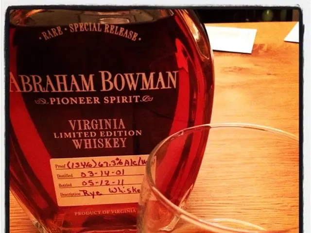 Monitoring Financial Declarations within the American Judicial System