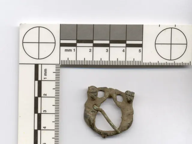 Expectedprice fluctuations for antique clocks in the year 2020