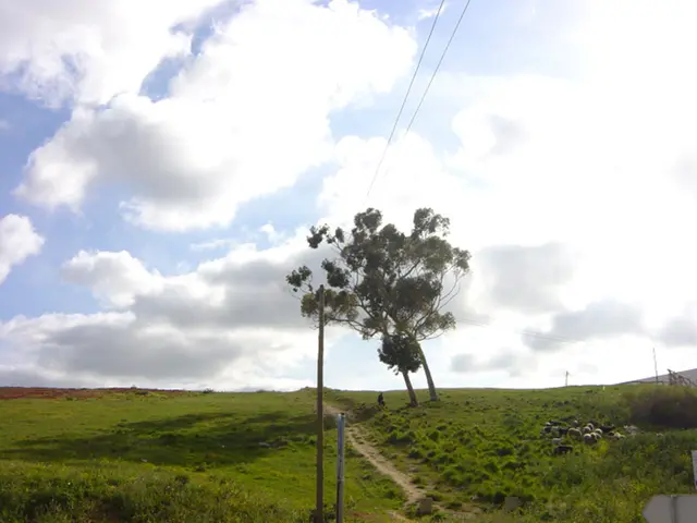 Financial advantages of sustainable pasture management