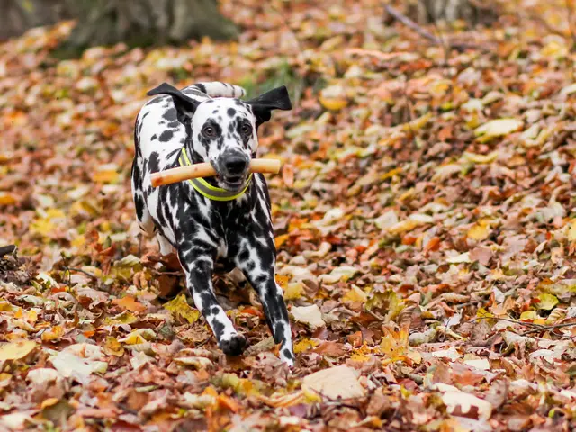 Government prolongs 90-day exemption period for social security contributions for seasonal...