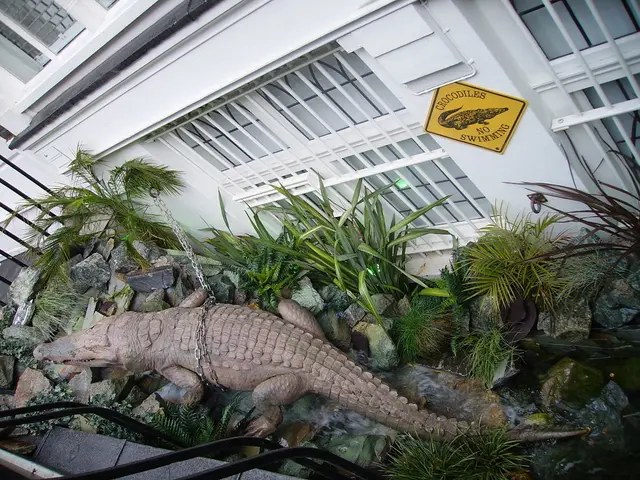 Africa50 exceeds $1.4 billion in managed assets, affirming its status as a formidable continental...