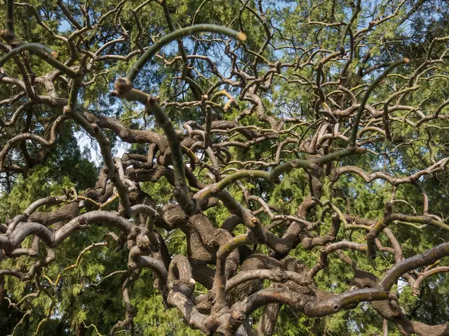 Expanding Presence: Huntington Plans to Launch 55 Branches Across the Carolinas within a Five-Year...