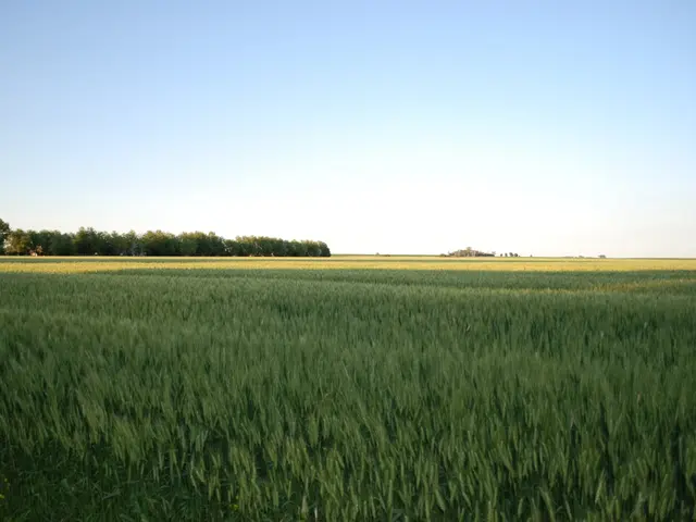 Ireland's wind energy battle: the struggle for financial support