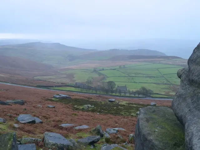 Massive Gold and Copper Reserves Found in Madina, Dubbed by Saudi Arabia