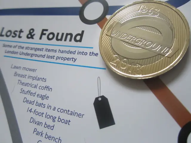 Trapped Funds: Where are the $250 Billion?