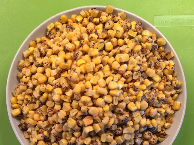 Business expansion for Singrow's seed breeding and vertical farming ventures, fueled by fresh...