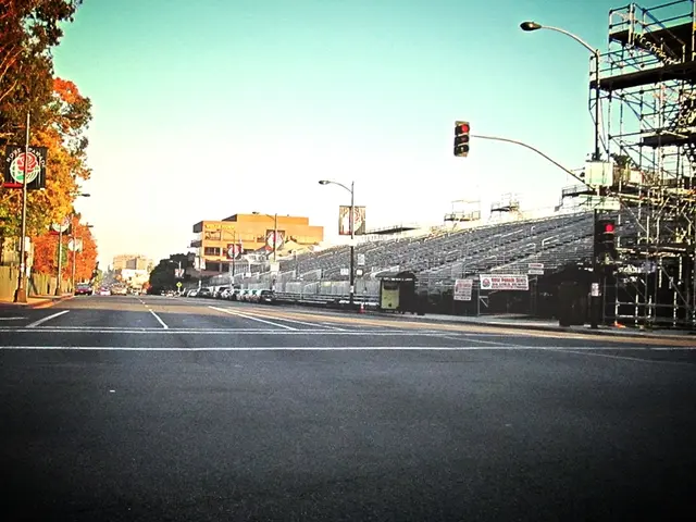 Ministry of Forestry's tasks in Kamchatka region to be completed by 2024