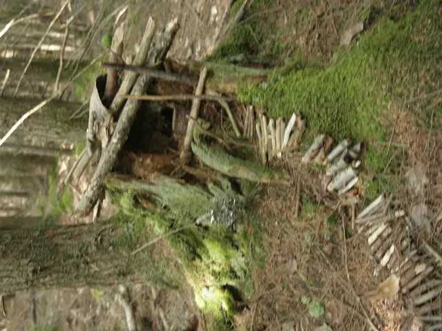 American Recreational Vehicles (RVs) popular in the United States uncovered as constructed with...