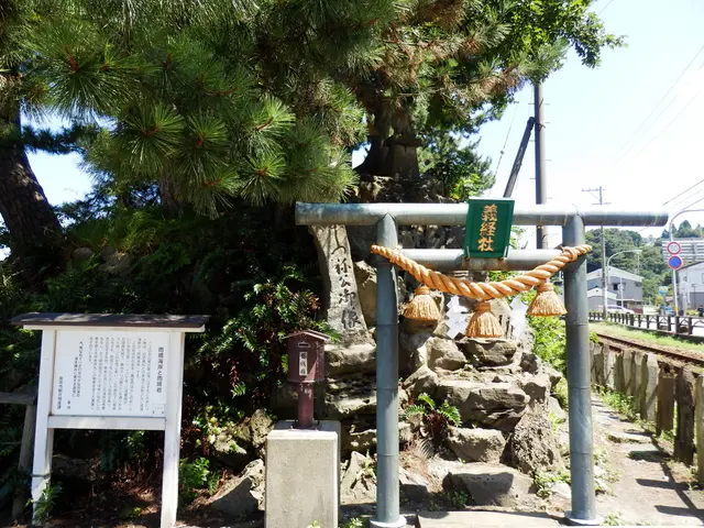 Zambian Farmers File Lawsuit Against Two Chinese Companies for Alleged Ecological Disaster