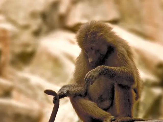 Central Basin Directors Collected Thousands of Dollars Following the Arrival of a New General...