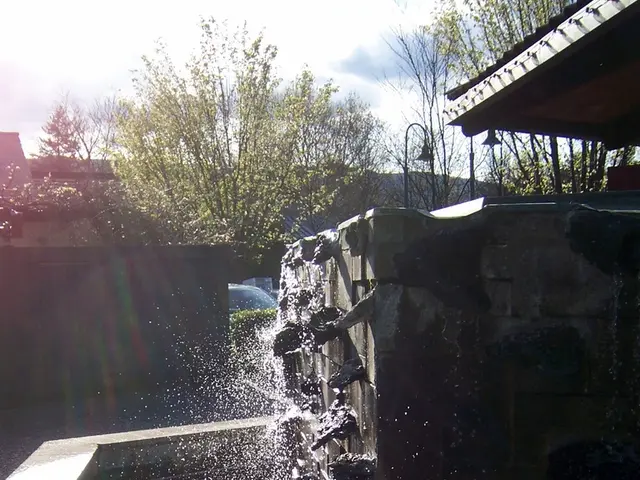 Increase in Credit Card Interest Rate: Reason Explained