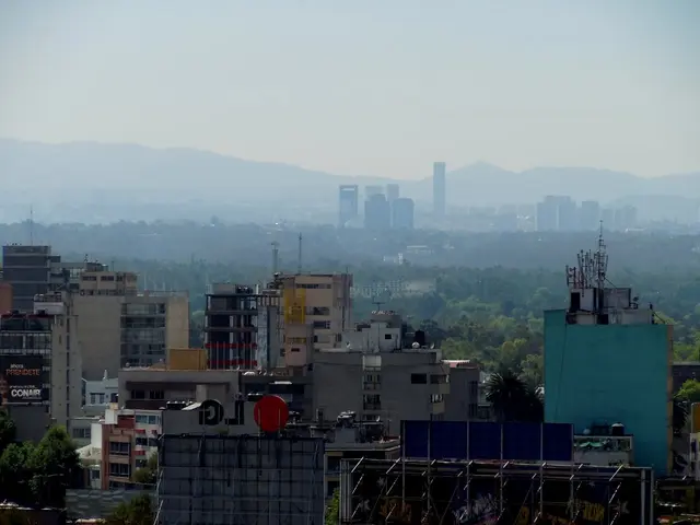 Streamlining Business Strategies: Simplifying Your Vision with a Single-Word Plan for Maximum...