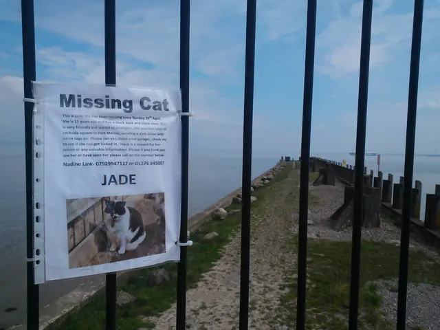 Geothermal drilling implementation by a new company in the USA aimed at capturing the planet's...