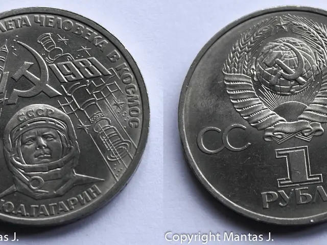 Central Banks, Led by the BIS, Discuss Design Features and Privacy Concerns for Central Bank...