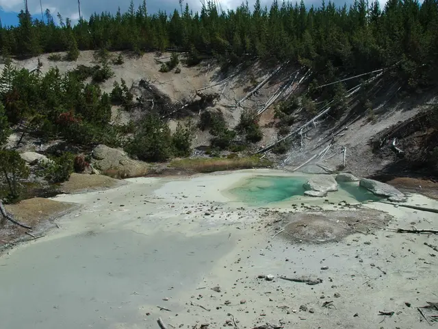 Preparing for an unprecedented fine in SEC's greenwashing case involving DWS