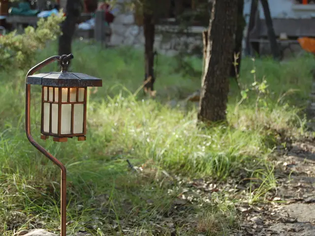 Discussion Event on Energy Innovation: Exploring Energy Transition's Potential for Rural...