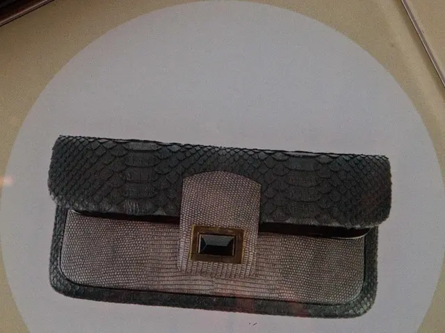 Wealth Analysis: Detailing Anna Maria Ferchichi's Financial Assets