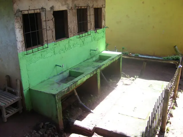 In this picture there are windows and sinks on the left side of the image and there is a boundary...