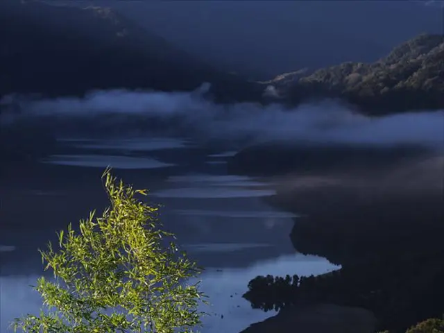 In this picture there is a beautiful view of the green plants. Behind there is a lake water, blue...