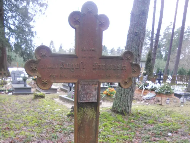 In this image there is a cross symbol on a grassland, in the background there are trees and the...