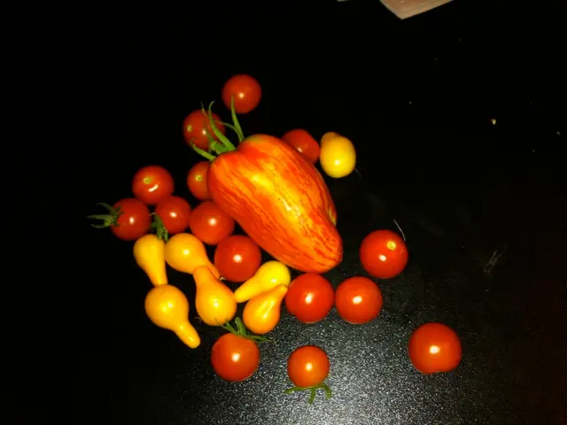 In the picture there are many fruits present.