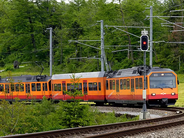 In this image there is a train on the track, few electric poles and cables, few trees, flowers,...