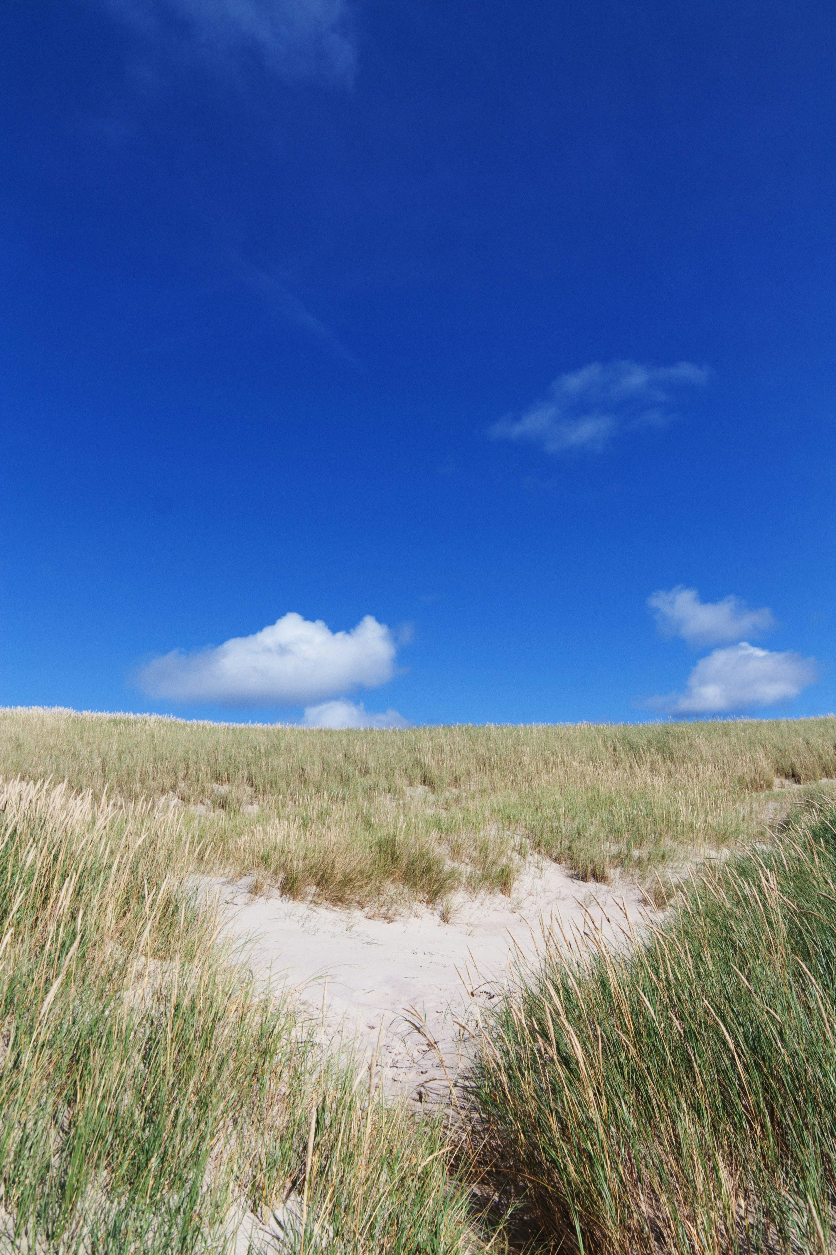 Executive Leader of BDA, Steffen Kampeter, states that he has identified the phenomenon known as...