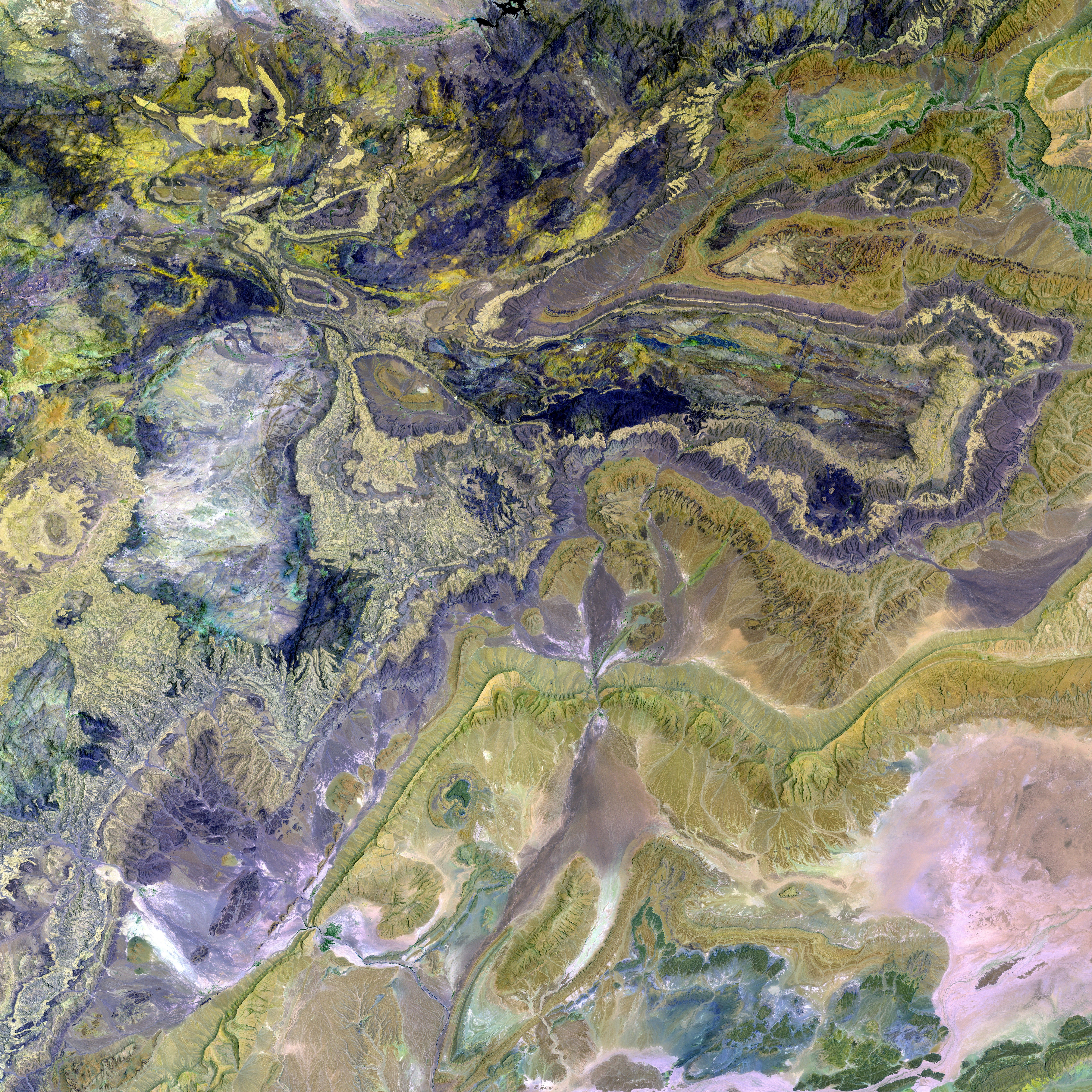 Decline in Dairy Farming Businesses in Thuringia: Over the past decade, the dairy industry has...