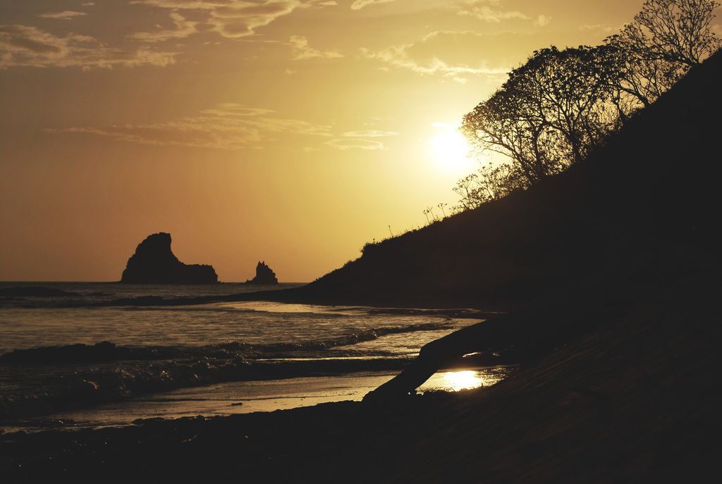 Escalating trade disputes negatively impact machine and plant builders in Germany, resulting in a...