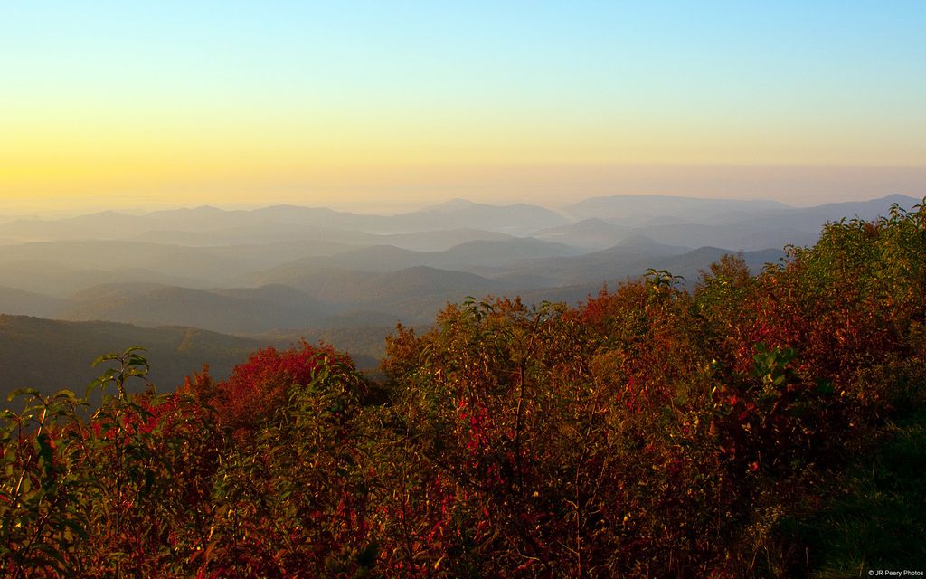 Agricultural goods imported from Ukraine at lower costs stir discontent among European farmworkers.