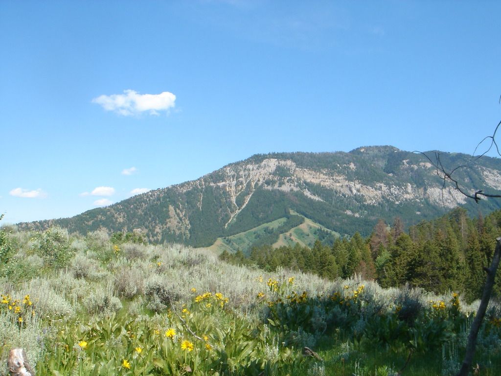 Infineon reduces anticipated revenue for 2024 and 2025, blaming U.S. trade policies and a faltering...