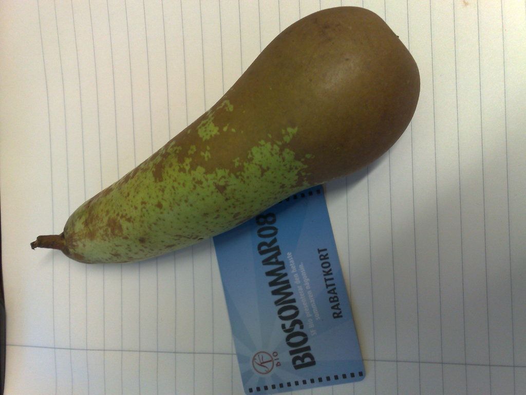 Choosing Between Citi Hilton HHonors Reserve and Chase Hyatt Visa: A Conundrum for Frequent...